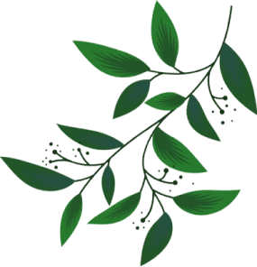 Manutenção de Jardins